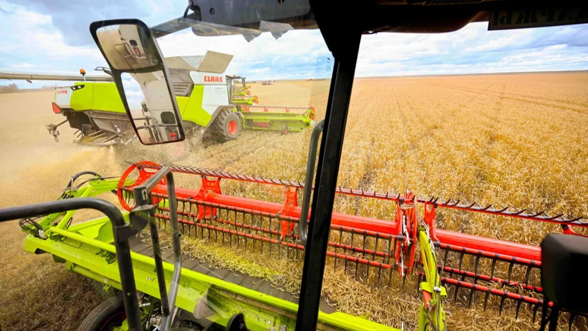 Уборочная кампания, зерно, поле, комбайны, сельское хозяйство