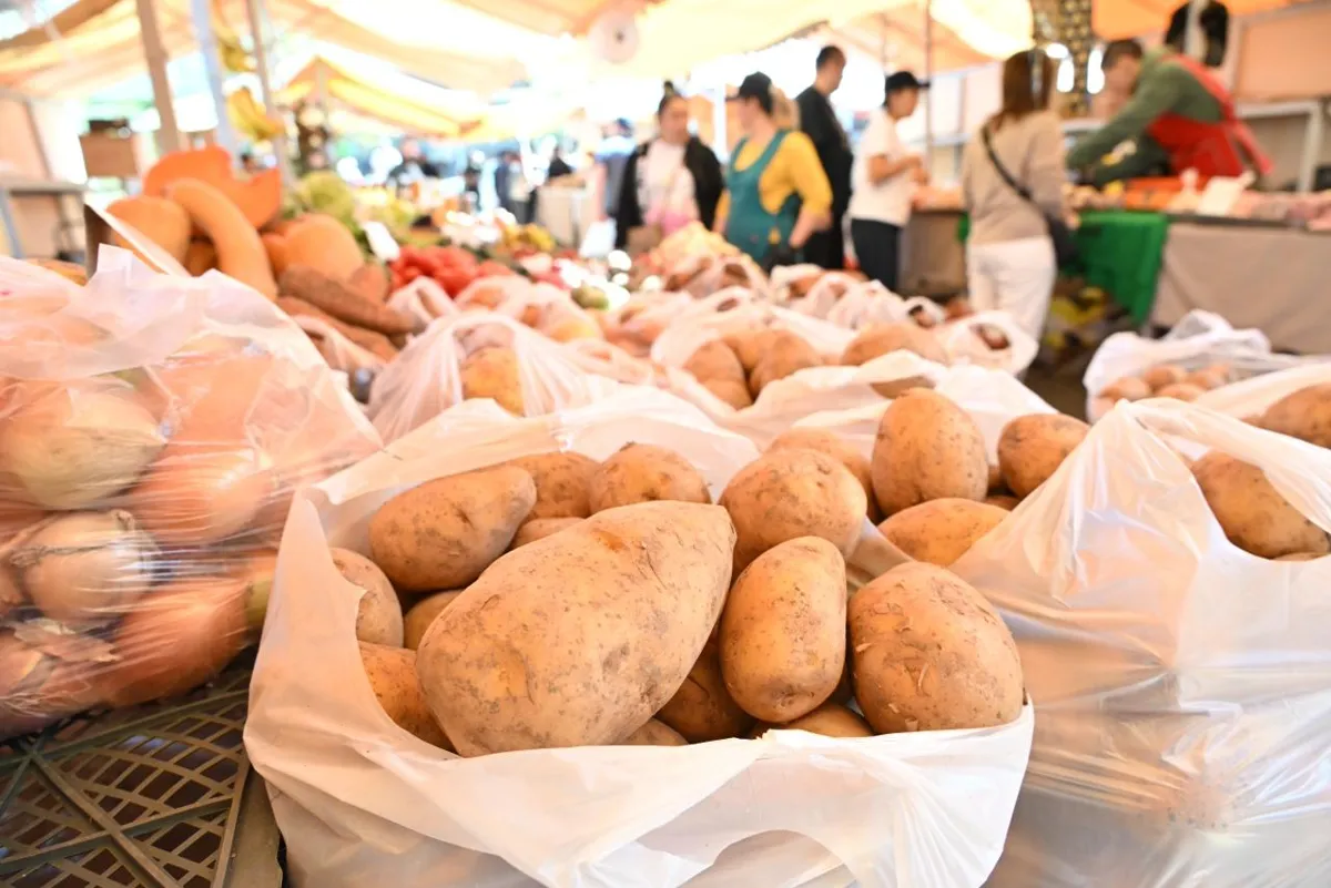 Овощи на ярмарке Алматы, картошка, картофель, социально значимые продукты, цены на продукты