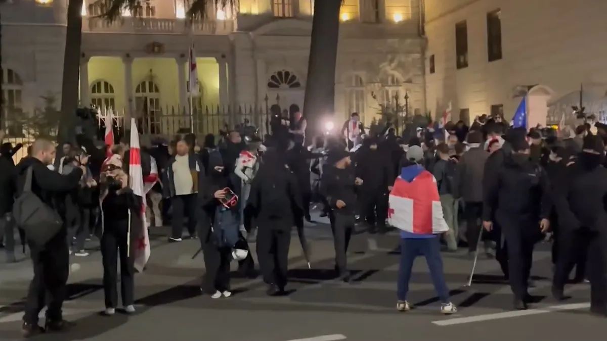 Протестующие у президентского дворца в Тбилиси