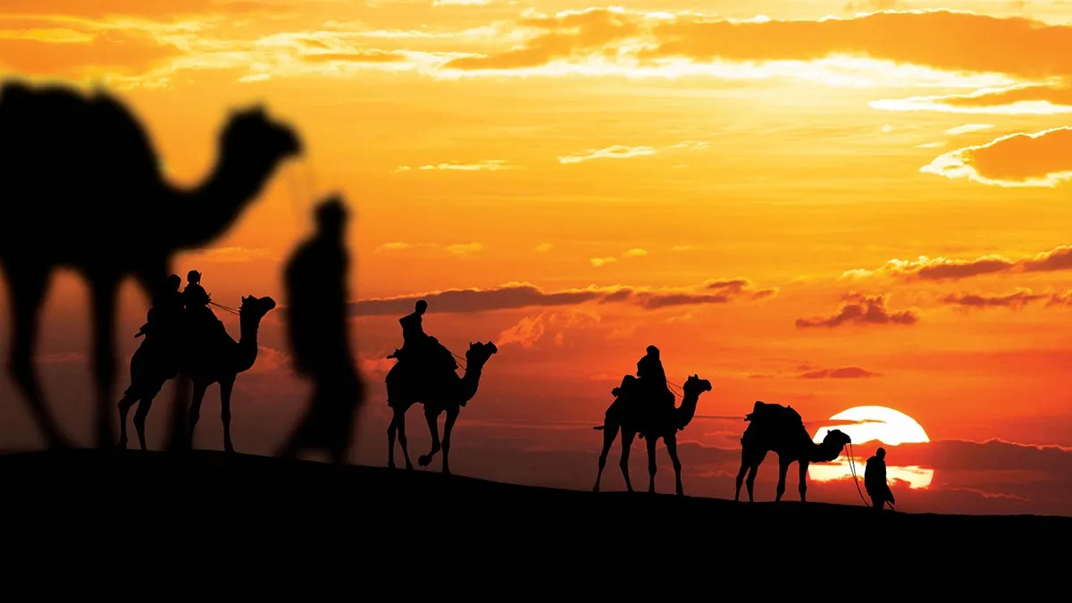 верблюды, закат, пустыня, шелковый путь, дорога, караван