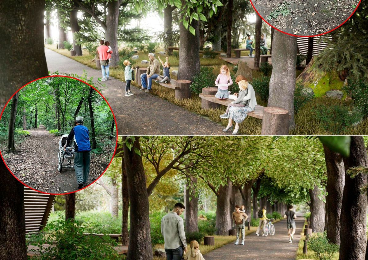 Обновленный дизайн рощи Баума, октябрь 2025