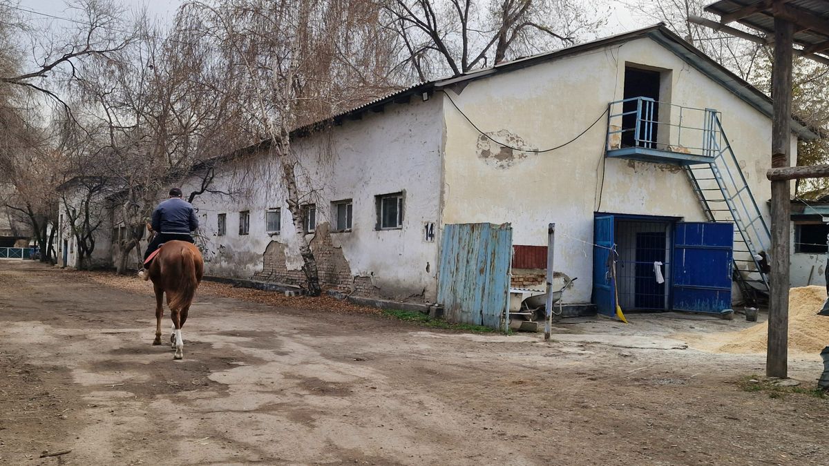 Ипподром в Алматы