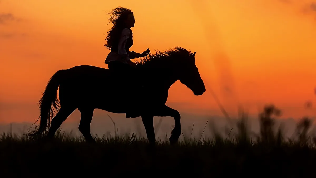 степь, женщина на коне, кочевница, конь, закат, всадница