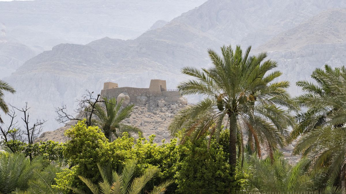 Вид с финиковой плантации на форт Dhayah