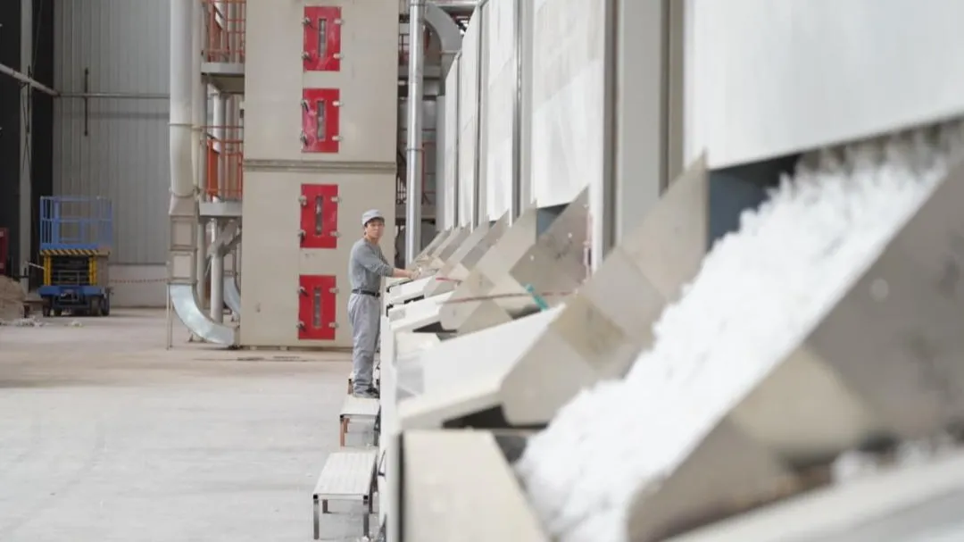 хлопковый завод в Туркестанской области, хлопок