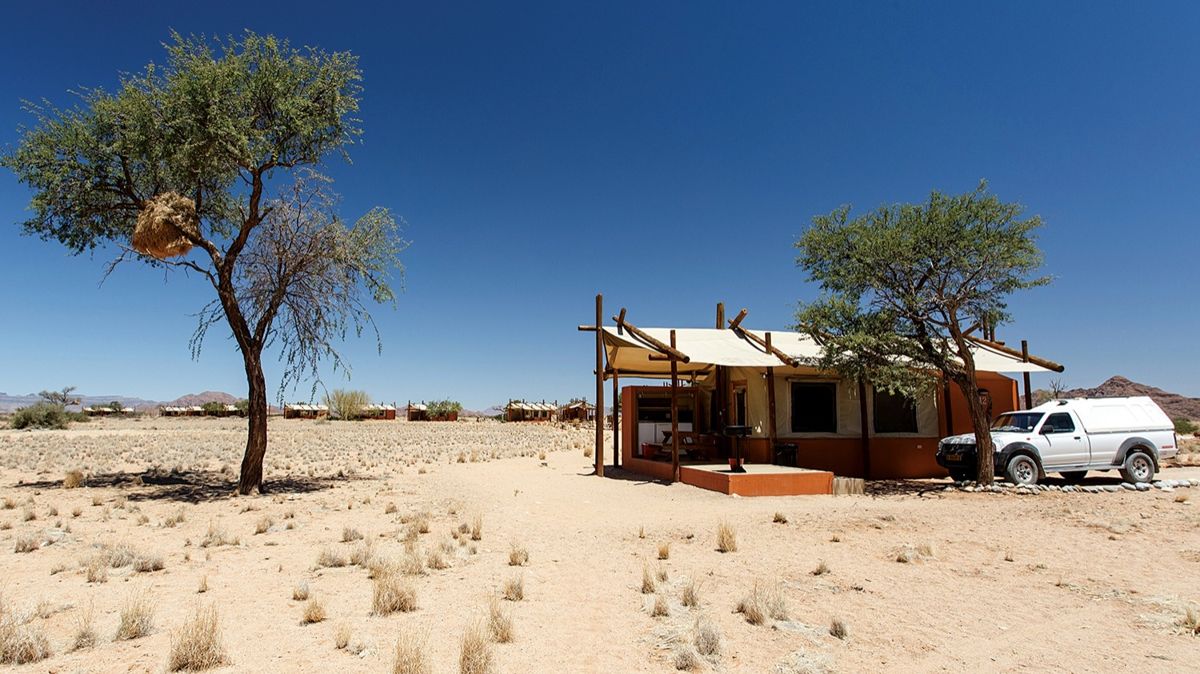  пустыня, дерево, африка