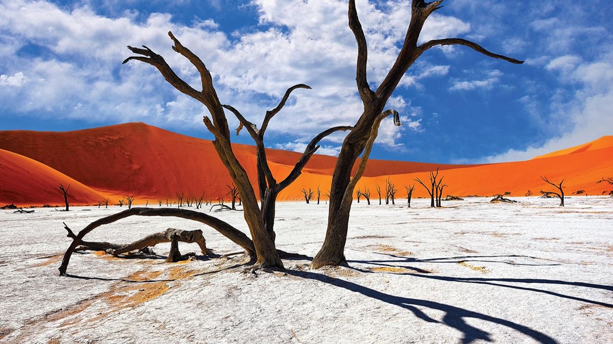 природа, пустыня