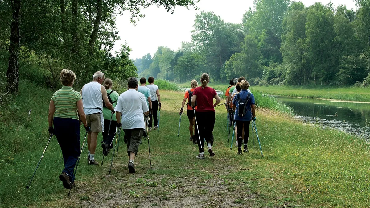 спорт, фитнес, спортивная индустрия, зарядка, бег, пенсия, лес, река, здоровый образ жизни