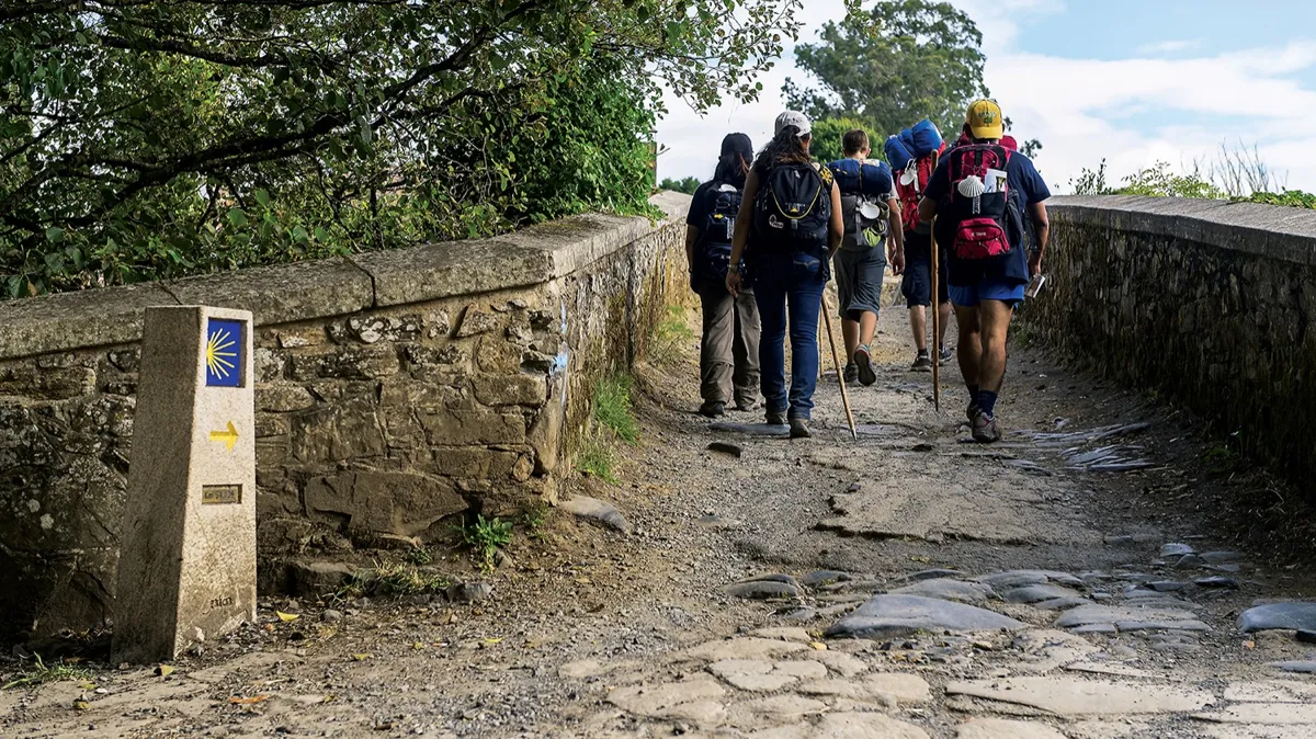 туризм, пеший туризм, поход, подъем в гору, туристы, рюкзаки