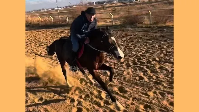 Мейржан Туребаев