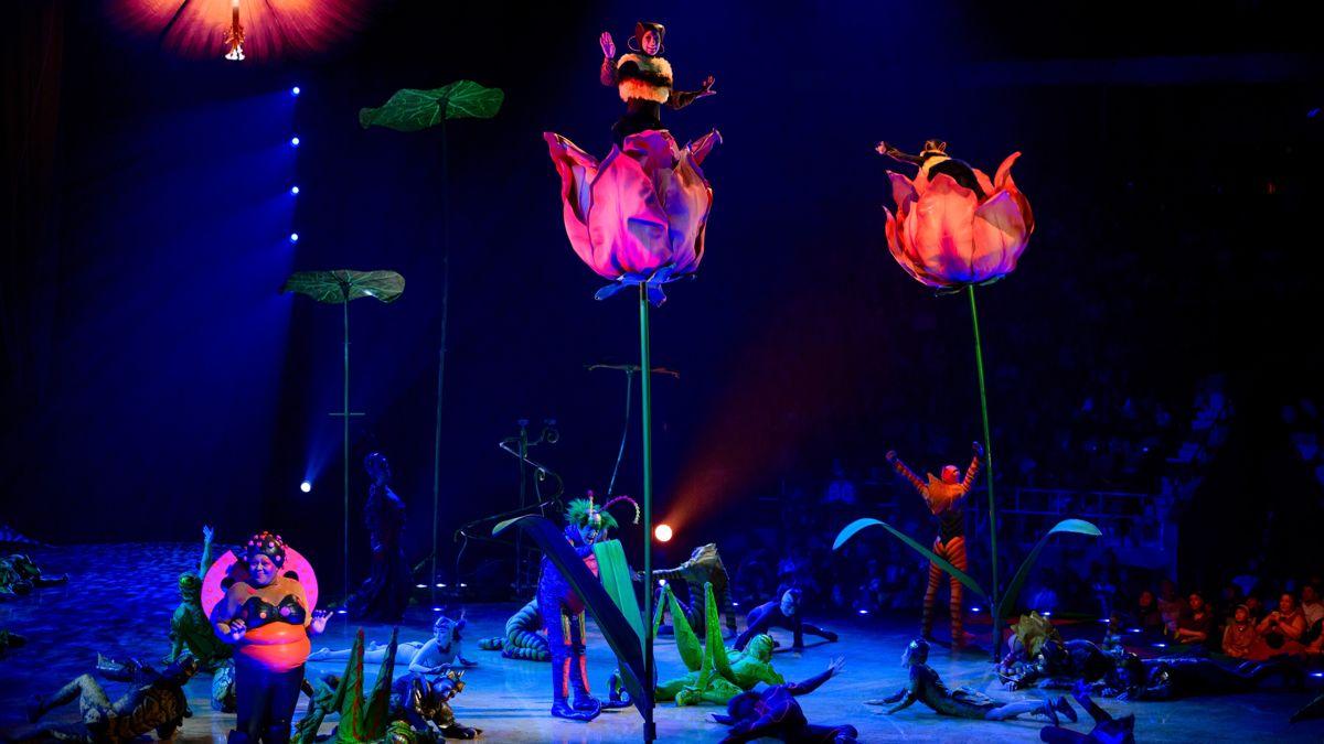 Артисты Cirque du&nbsp;Soleil