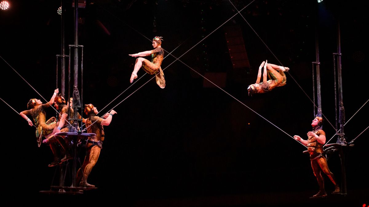 Артисты Cirque du&nbsp;Soleil