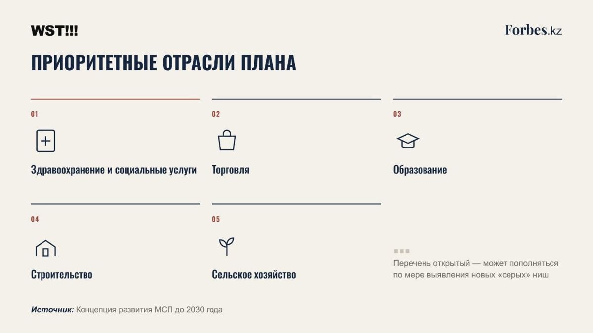 План против теневой экономики, Teniz