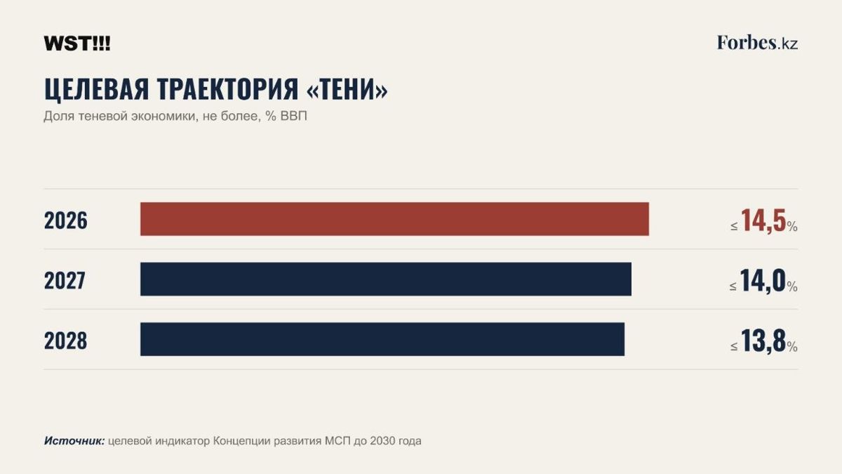 План против теневой экономики, Teniz