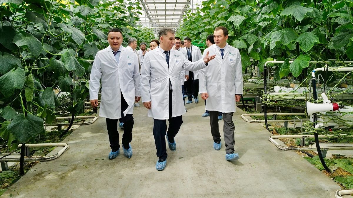 Теплица &laquo;Тенгизшевройл&raquo;, люди в белых халатах идут